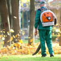 Landscaping worker safety